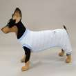 Пижама для собак Pet Тедди
