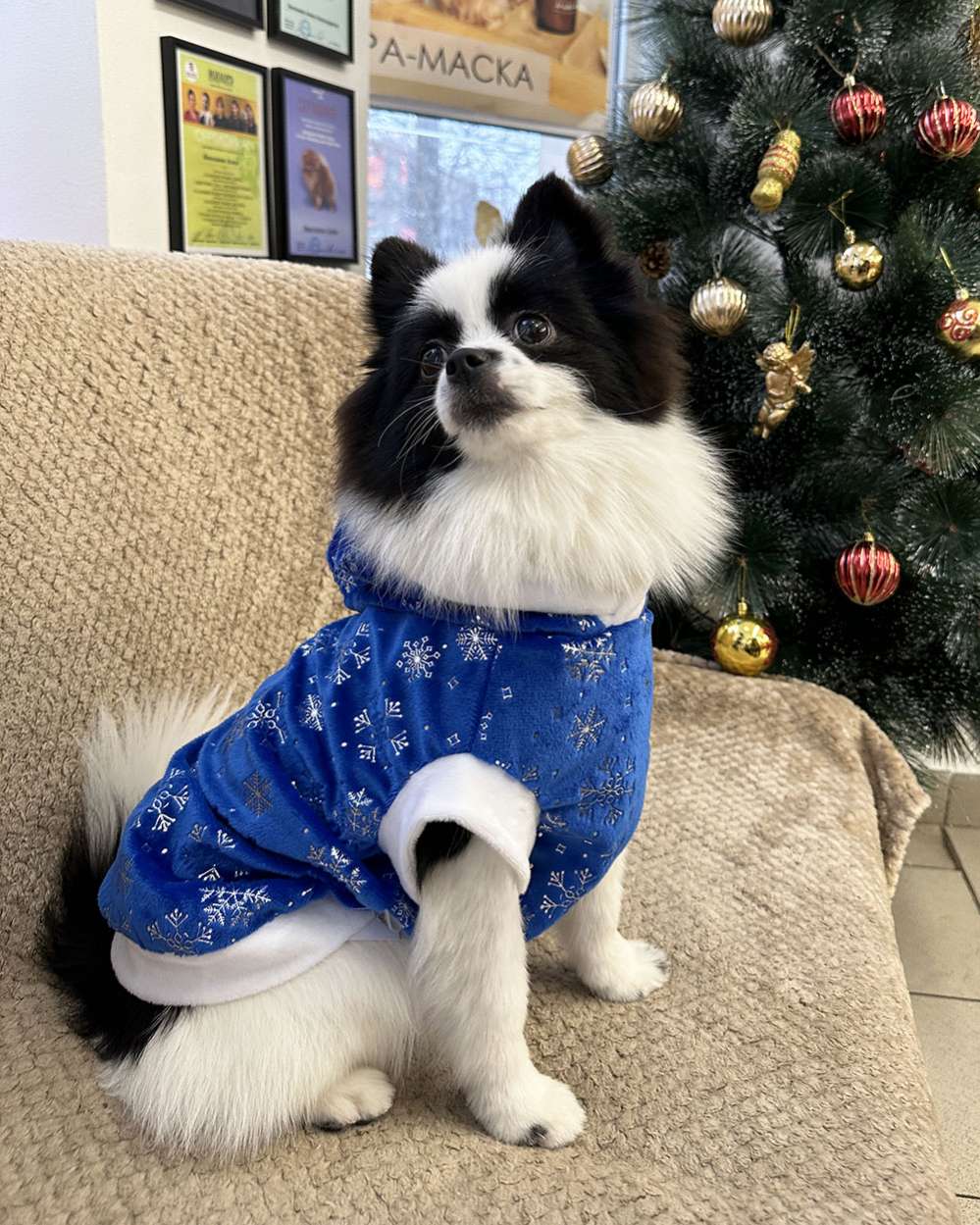 Новогодняя толстовка для собак Puffy Снежинка синяя