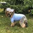 Вязаный свитер для собаки Puffy Пух норки
