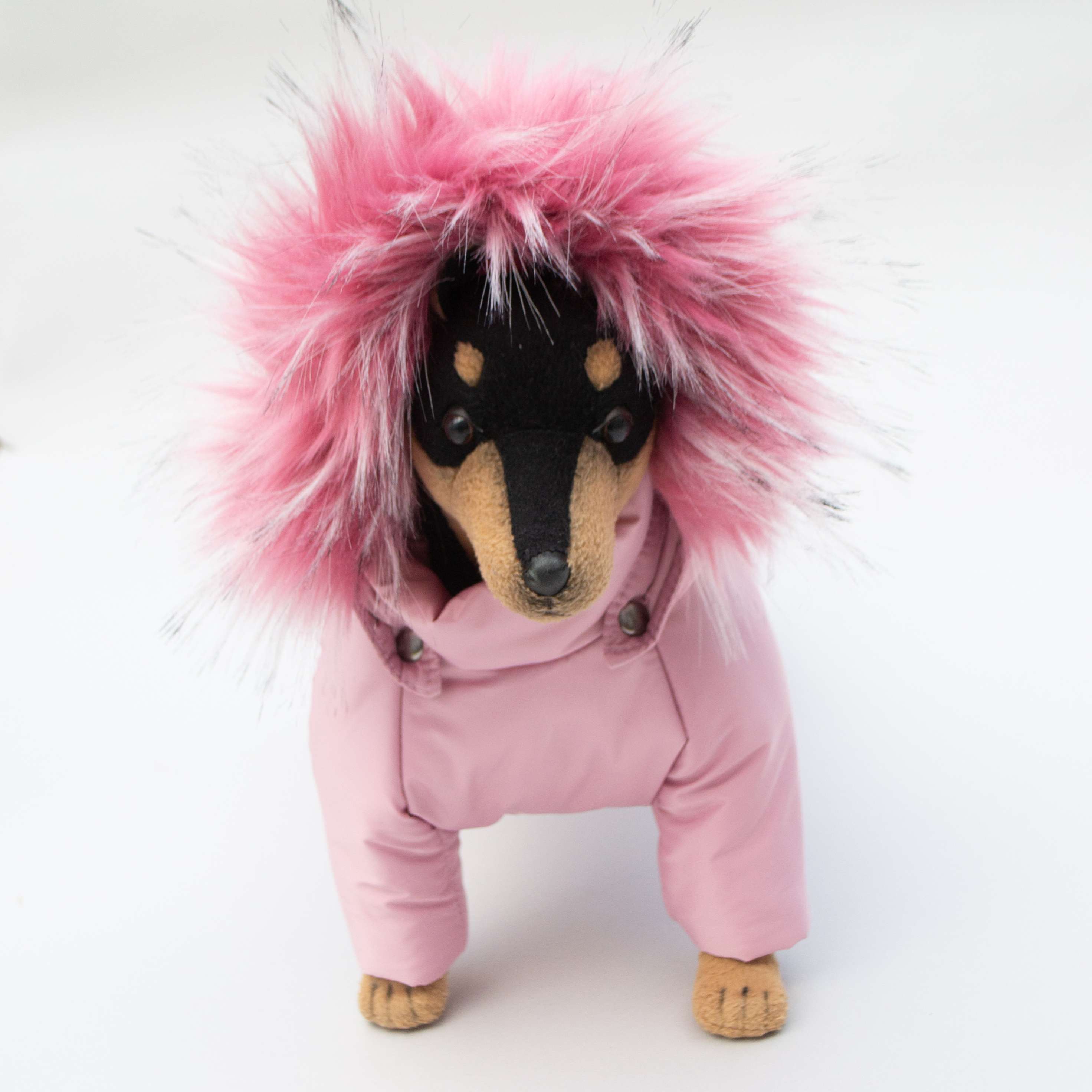 Зимний комбинезон для собак Полярное сияние Клевер на шелке