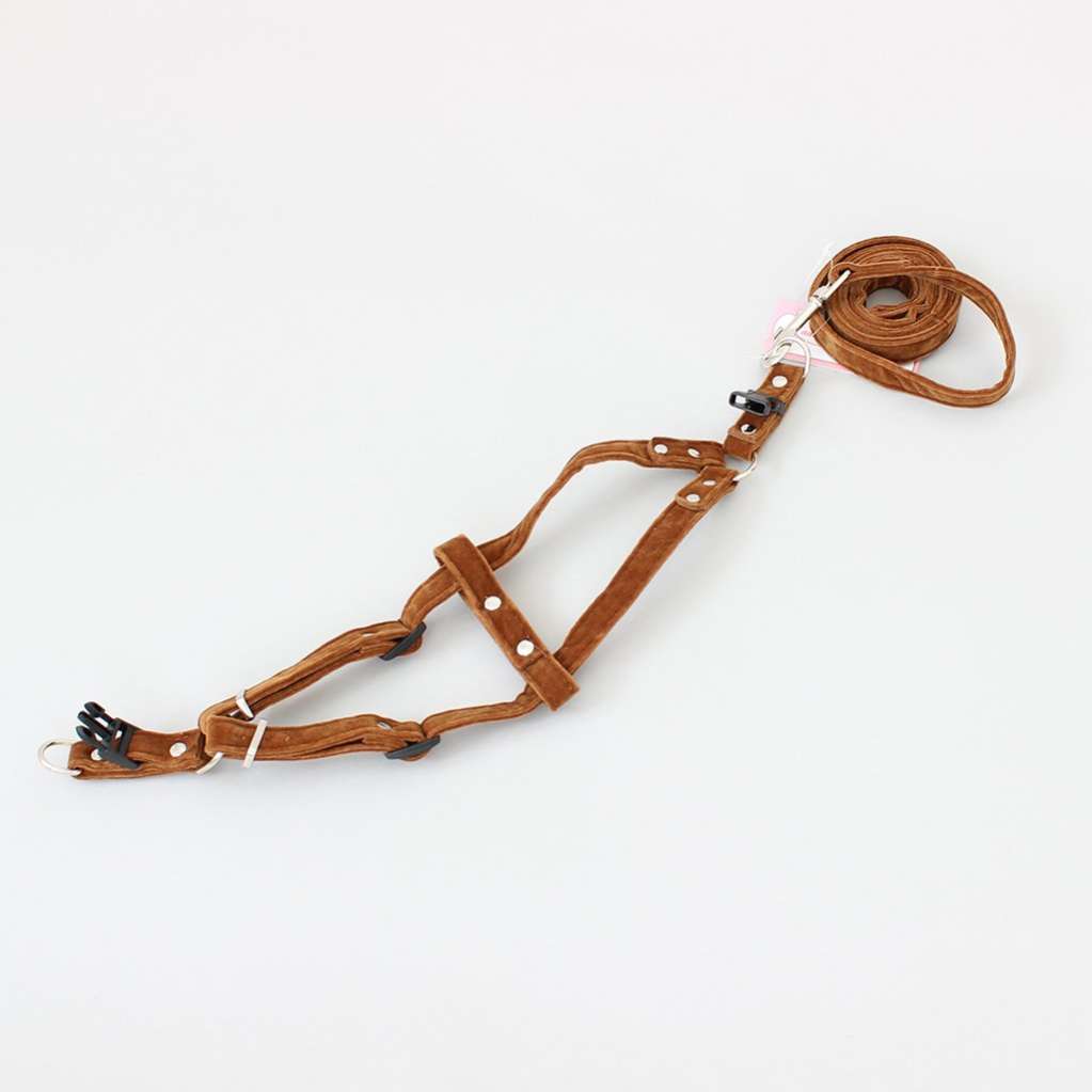 Поводок и шлейка для собаки Pet Зуми