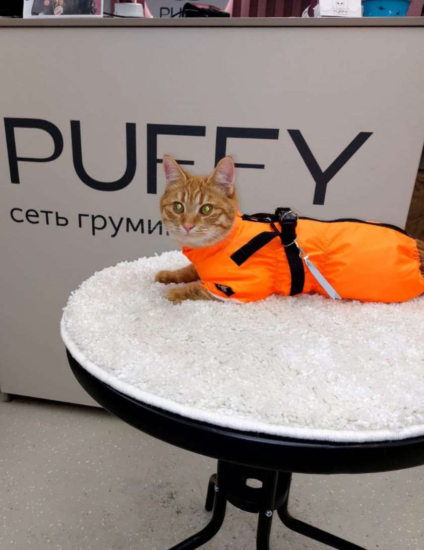 Дождевик для собак Puffy Фикс оранжевый со шлейкой