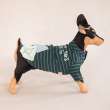 Кофта для собаки Pet Заплатки
