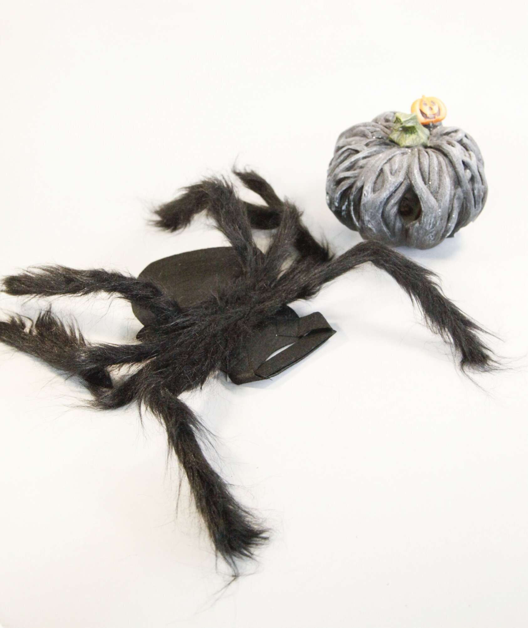 Костюм для собак Хэллоуин Паук