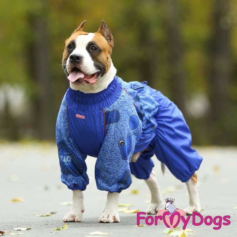 Комбинезон для собак средних и крупных пород ForMyDogs Blue