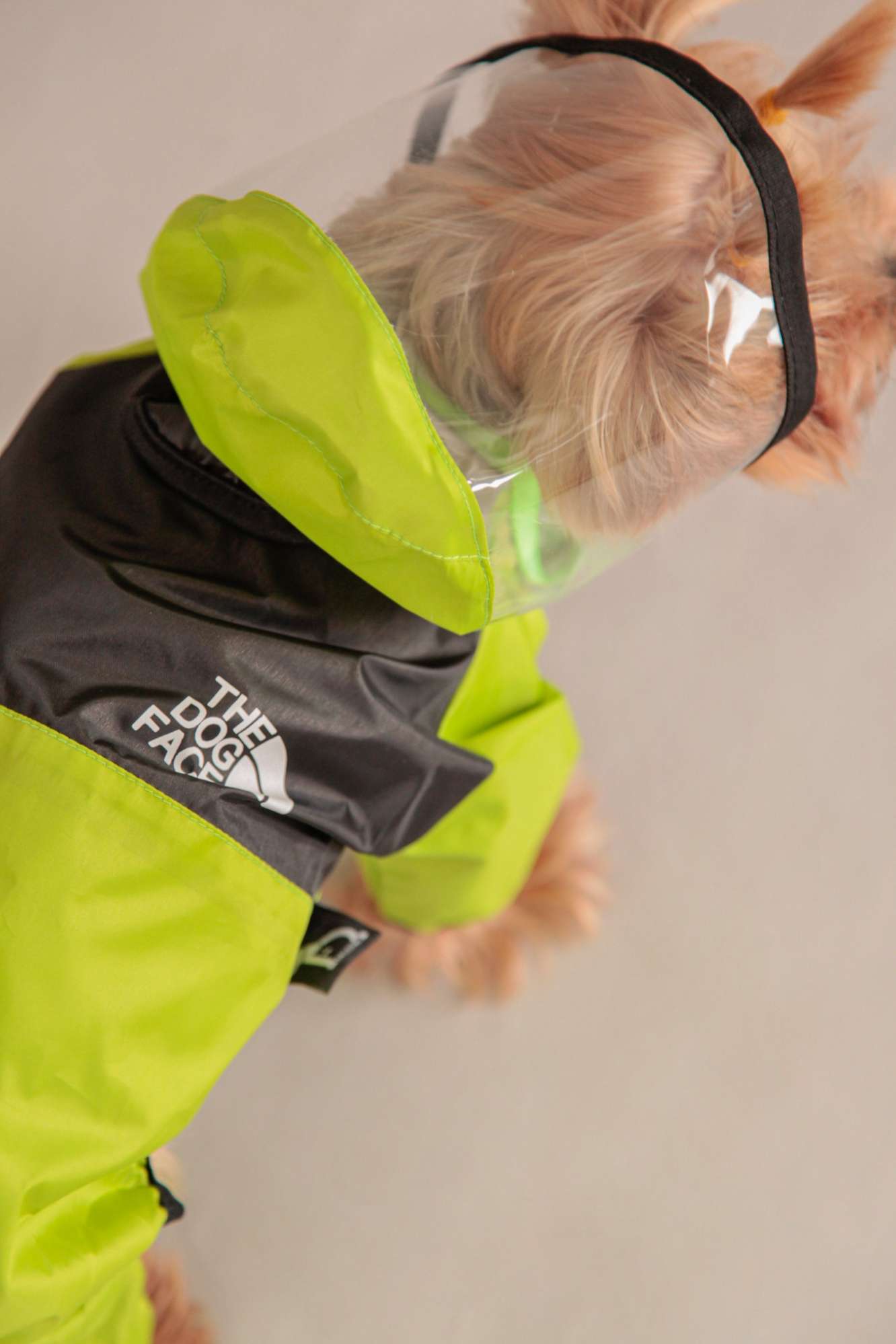 Дождевик для собаки Pet Палермо