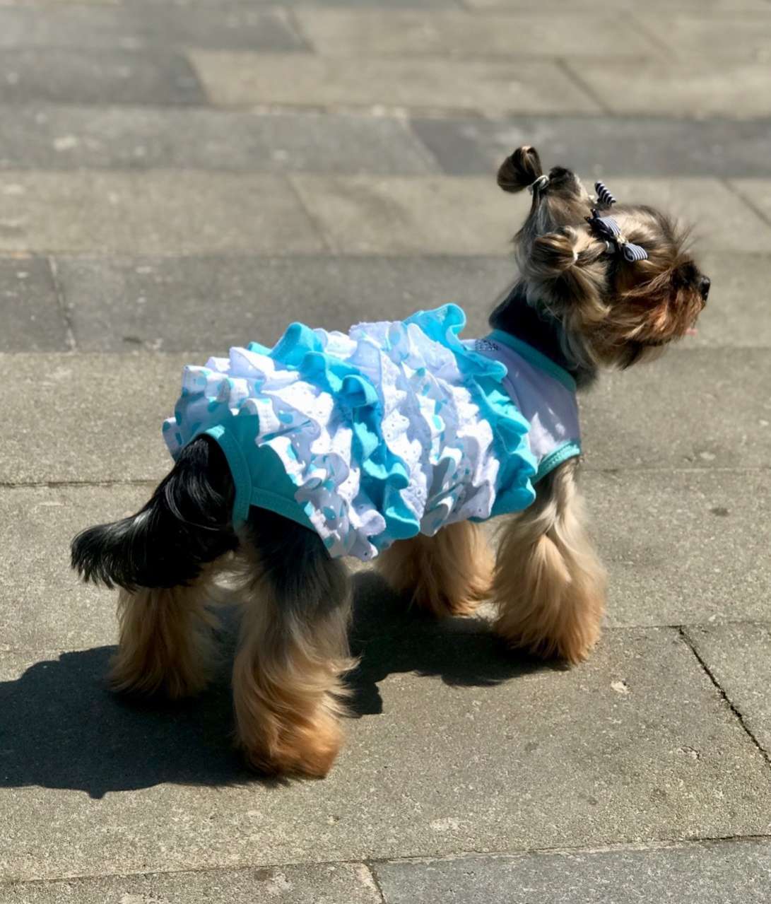 Платье для собак Premium Зефир