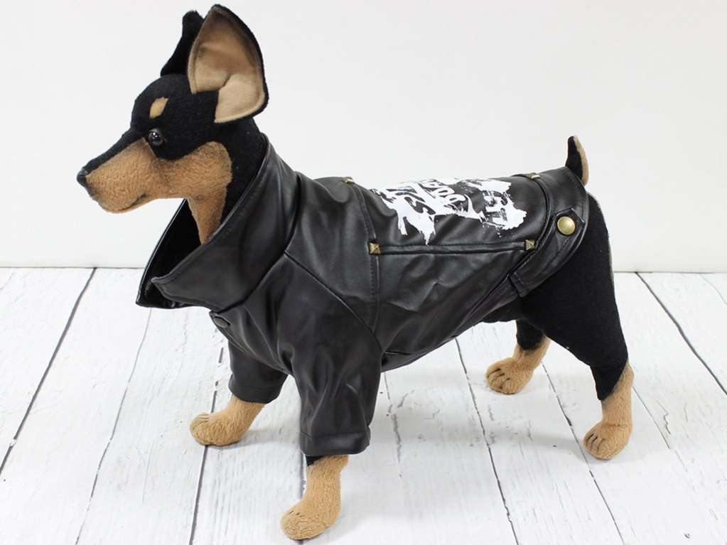Кожаная куртка для собак Pet Skate Board