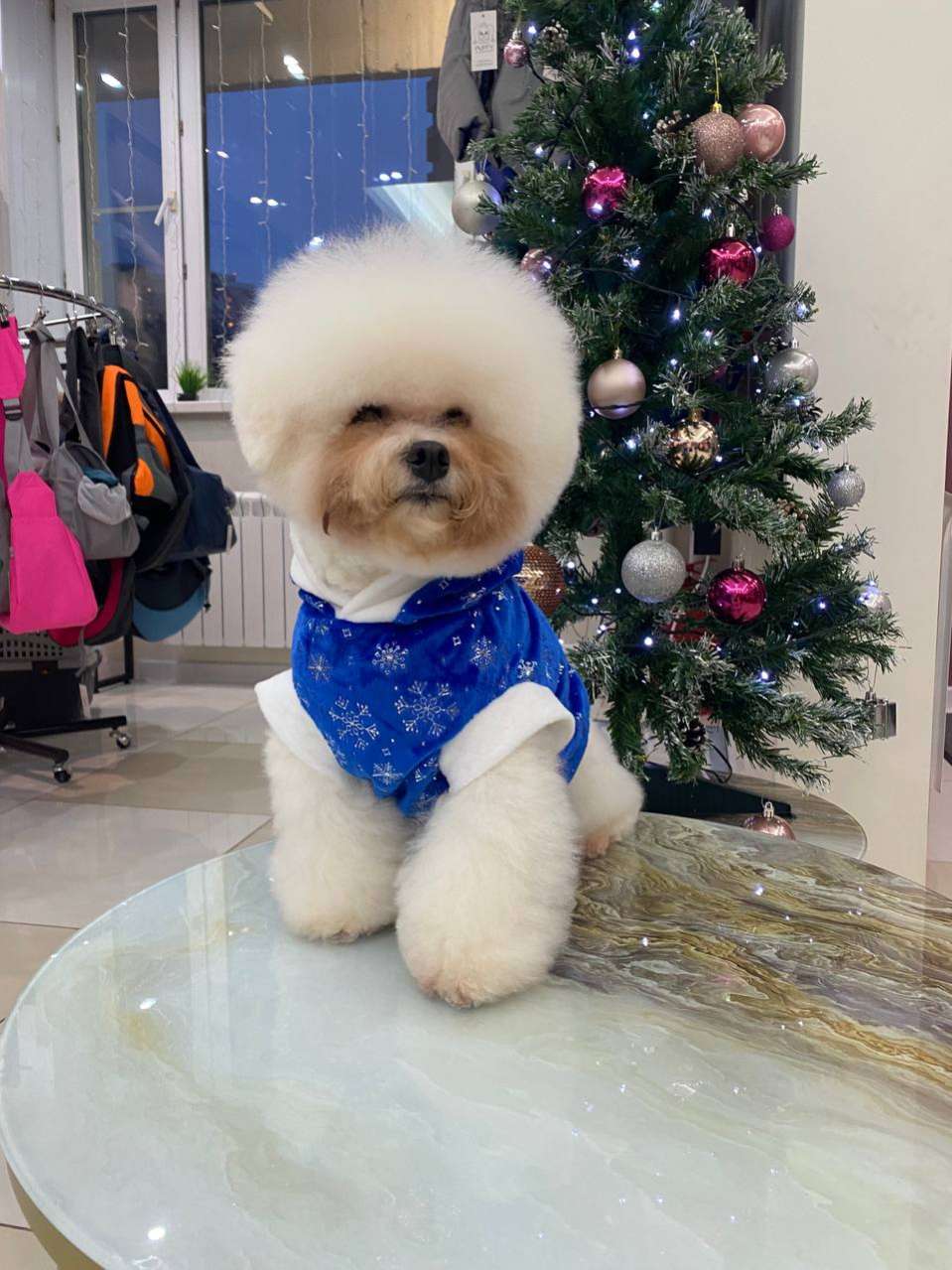 Новогодняя толстовка для собак Puffy Снежинка синяя