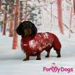 Комбинезон для таксы и корги ForMyDogs Мишки