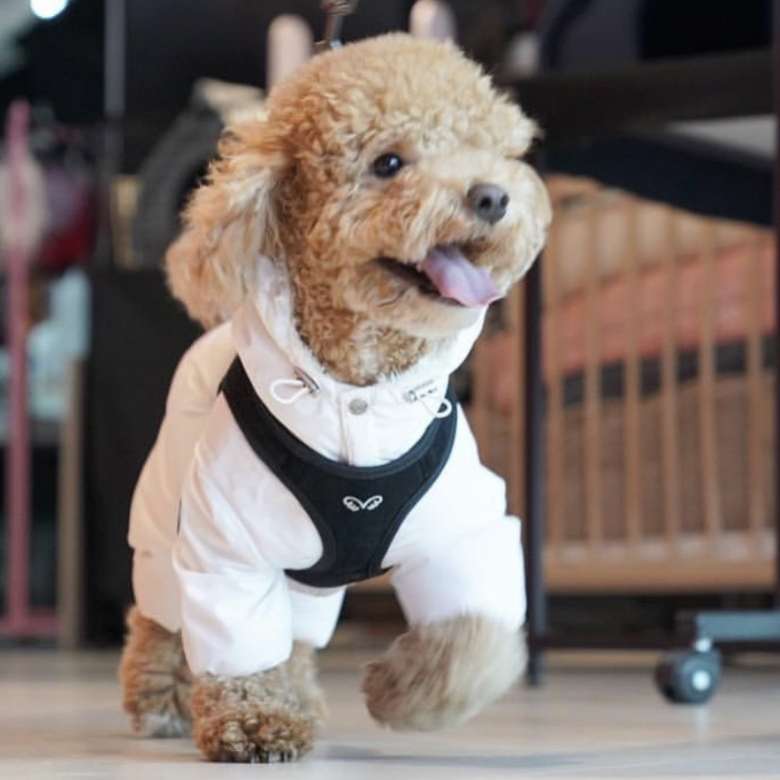 Шлейка для собак PA комфорт