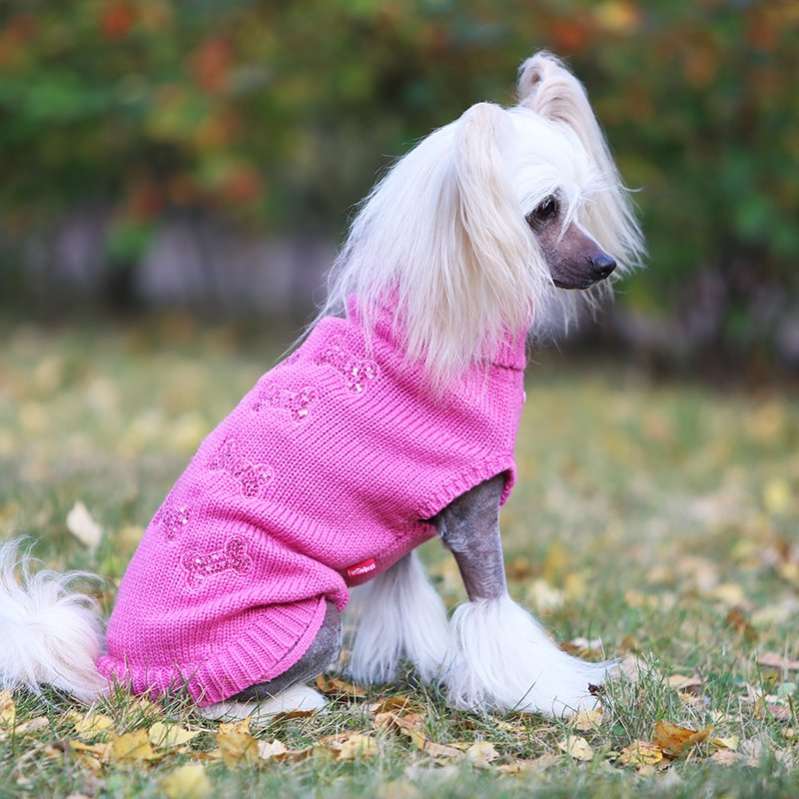 Свитер для собак ForMyDogs Косточки