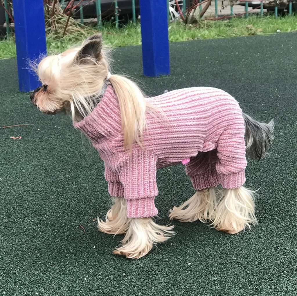 Костюм для собак велюровый Premium Вязка