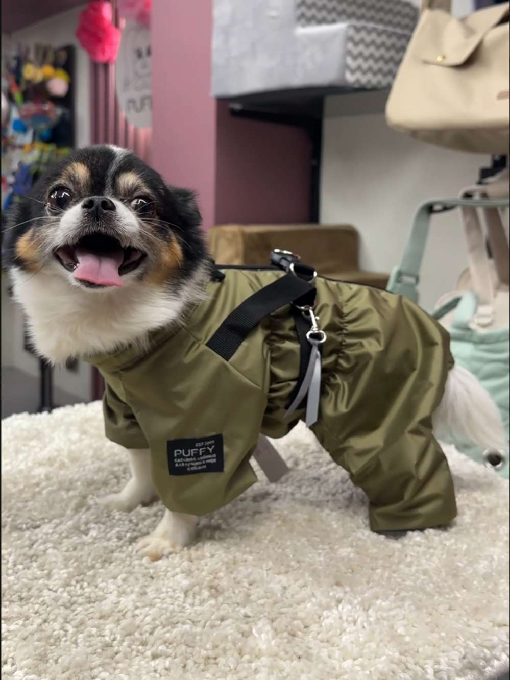 Утепленный дождевик для собак Puffy Фикс со шлейкой хаки