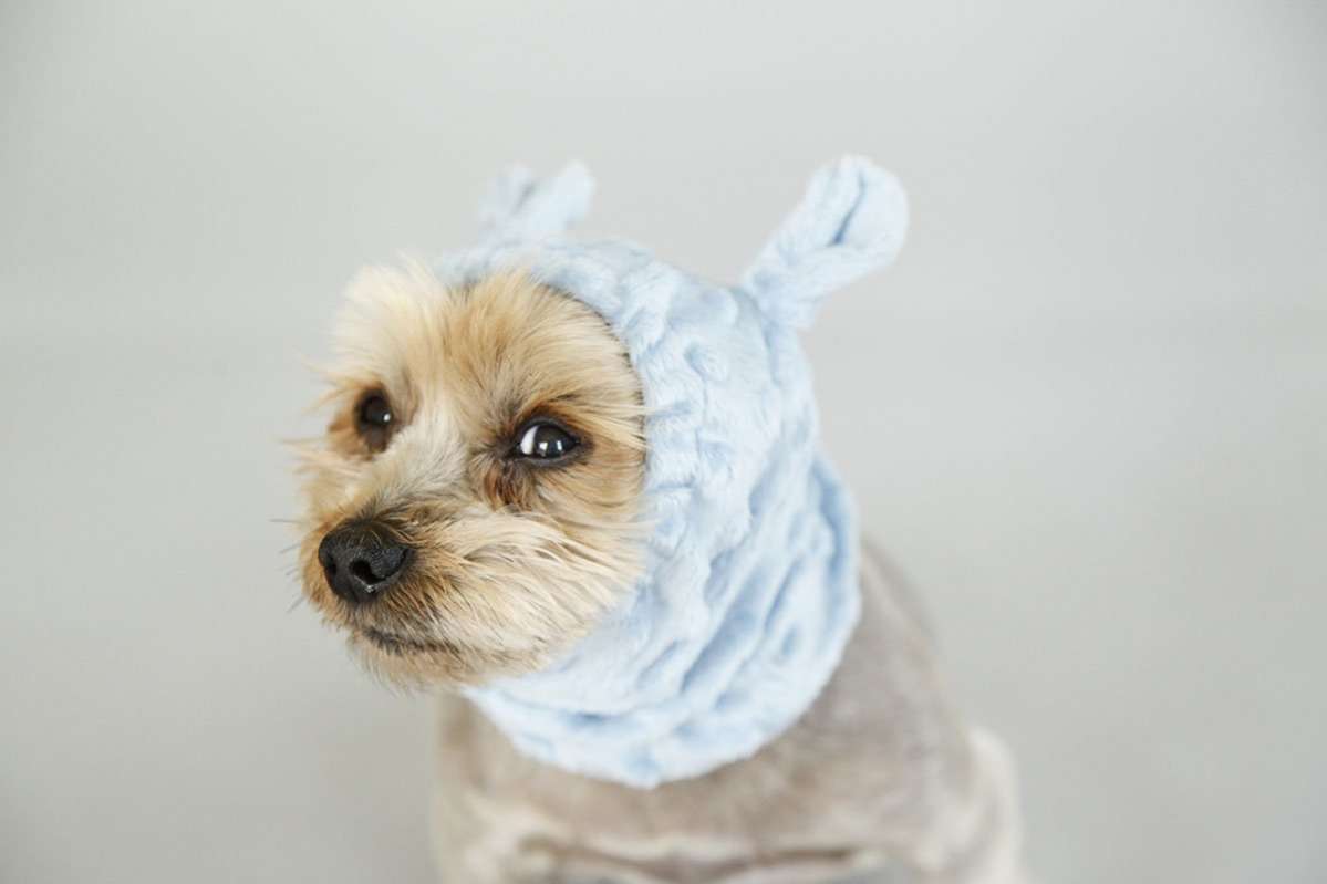 Шапка для собаки Капор Puffy Минки