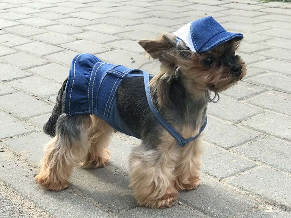 Юбка для собак Premium Джинс