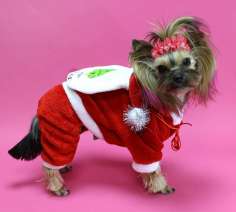 Новогодний костюм для собаки Подарки