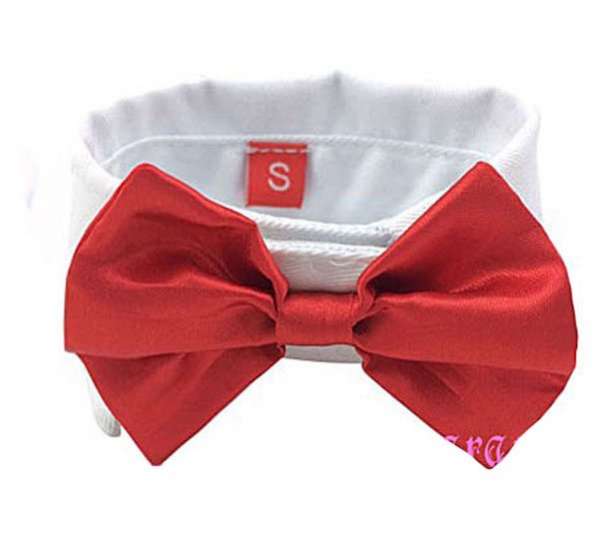 Воротник для собак с бабочкой