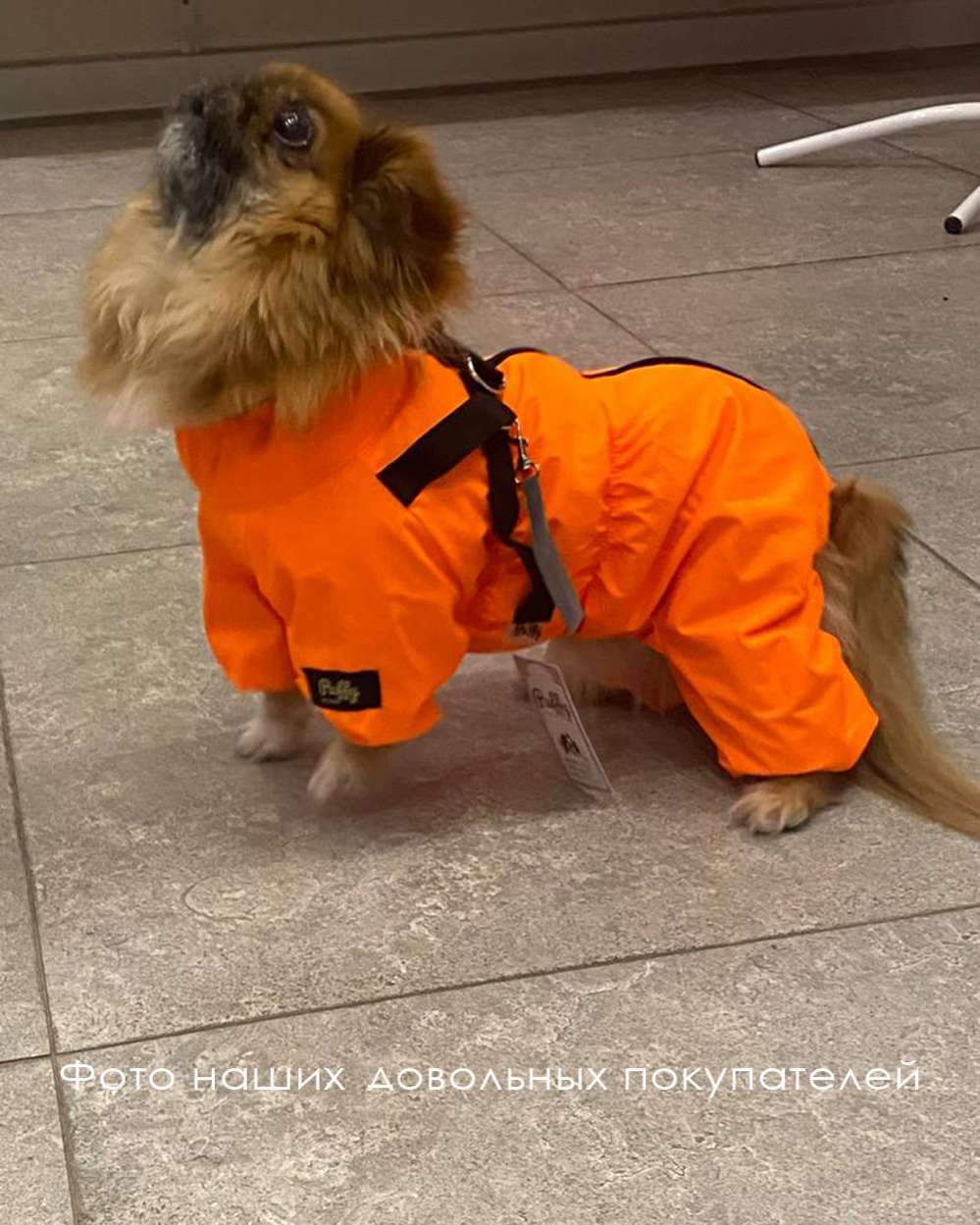 Дождевик для собак Puffy Фикс оранжевый со шлейкой