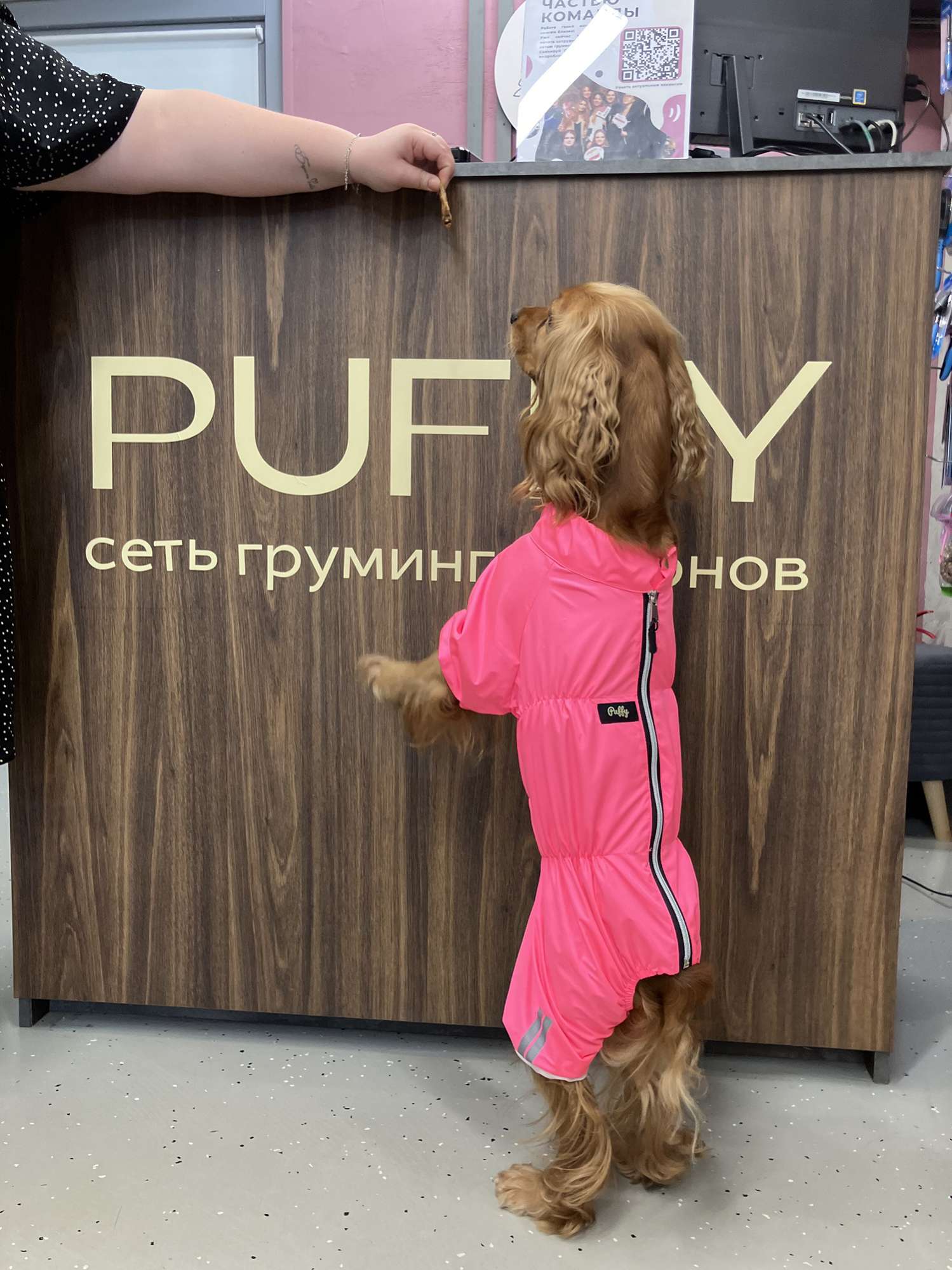 Дождевик для собаки Puffy Лайт розовый