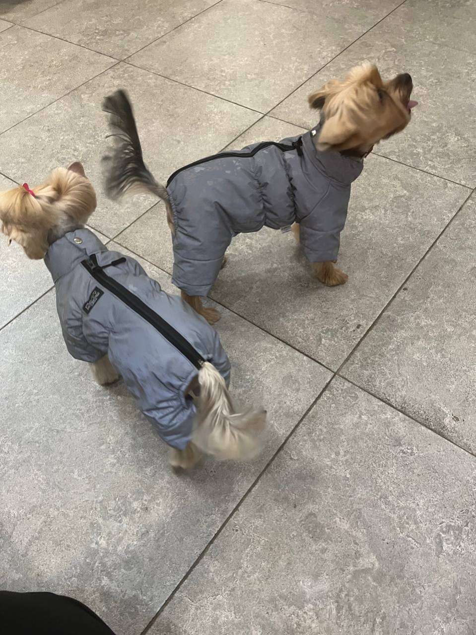 Комбинезон Puffy Светоотражающий узор