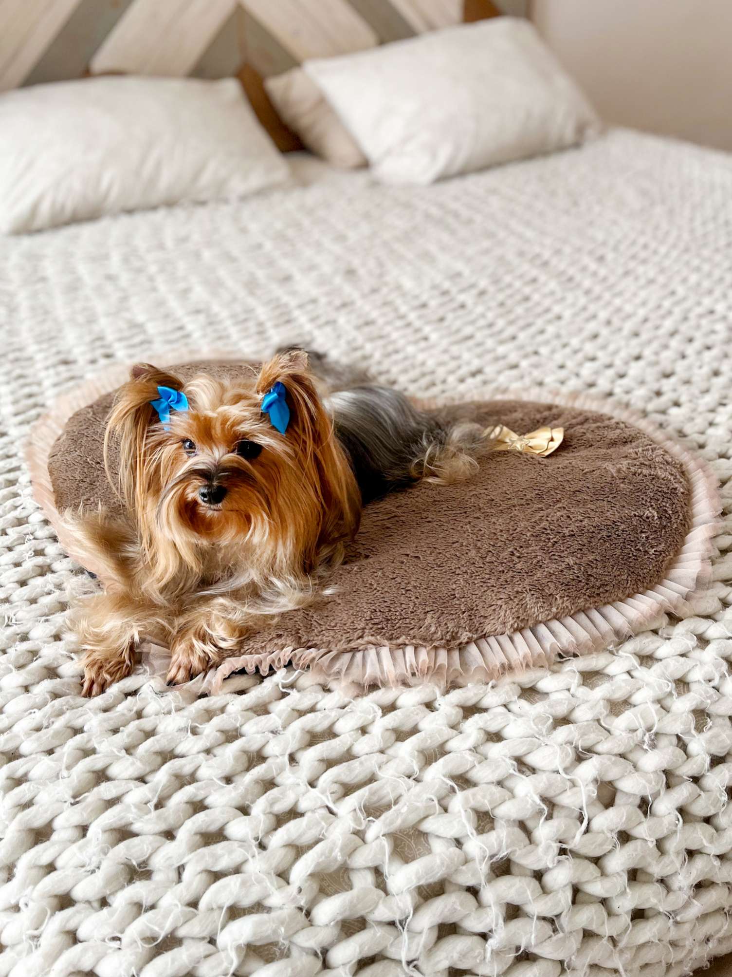 Матрас для собак сердце Puffy Мокко