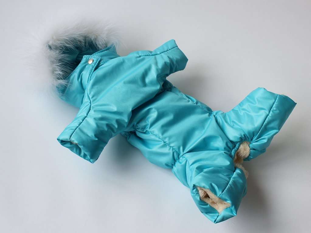 Комбинезон для собак Северное сияние Бирюза