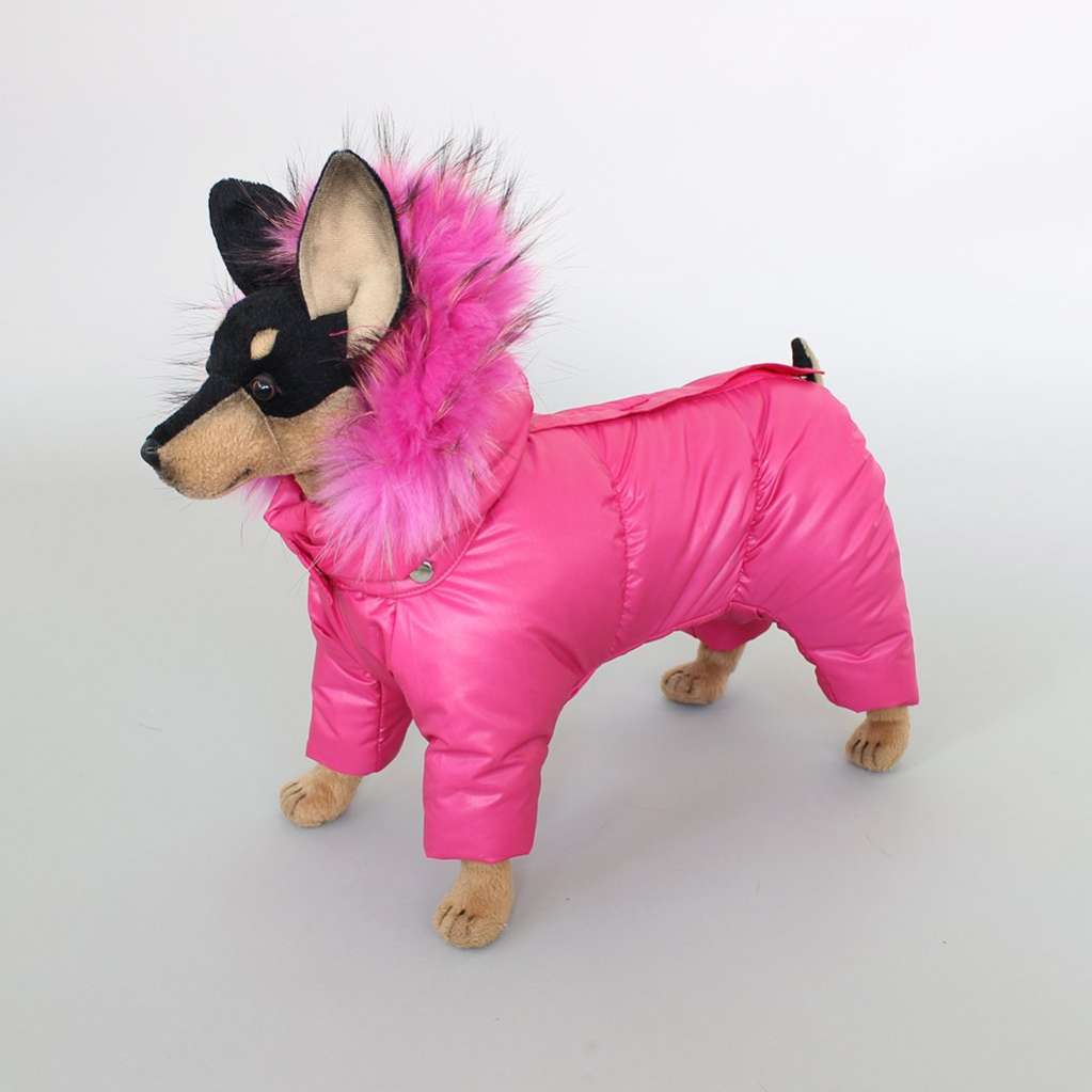 Комбинезон для собак Северное сияние Азалия