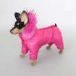 Комбинезон для собак Северное сияние Азалия