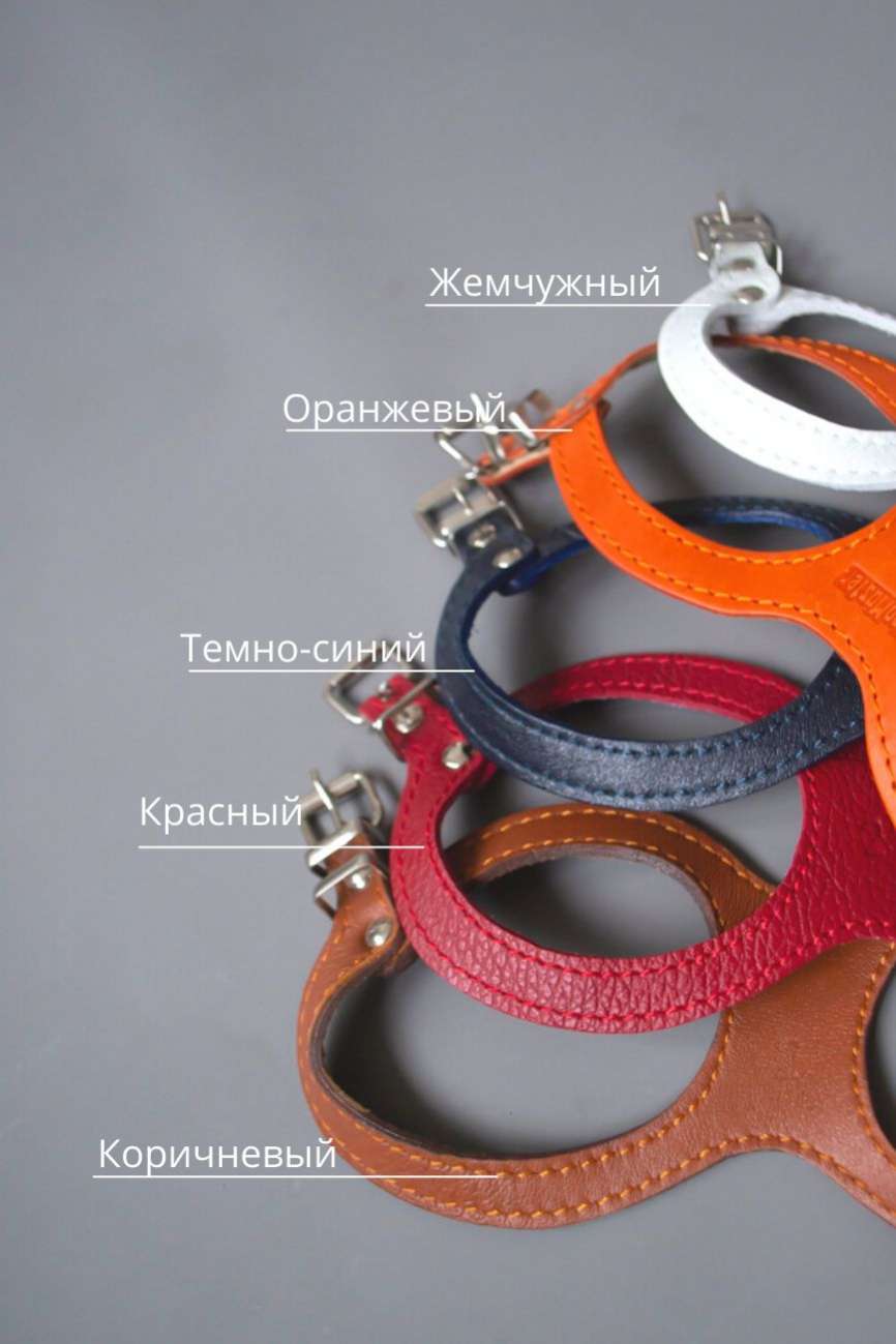 Кожаная шлейка для собак Очки