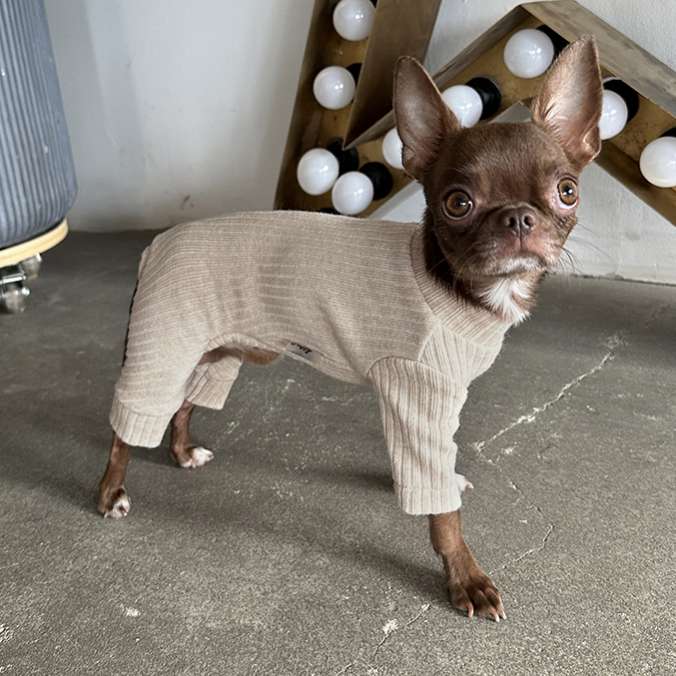 Костюм-боди для собак Puffy Лапша Латте