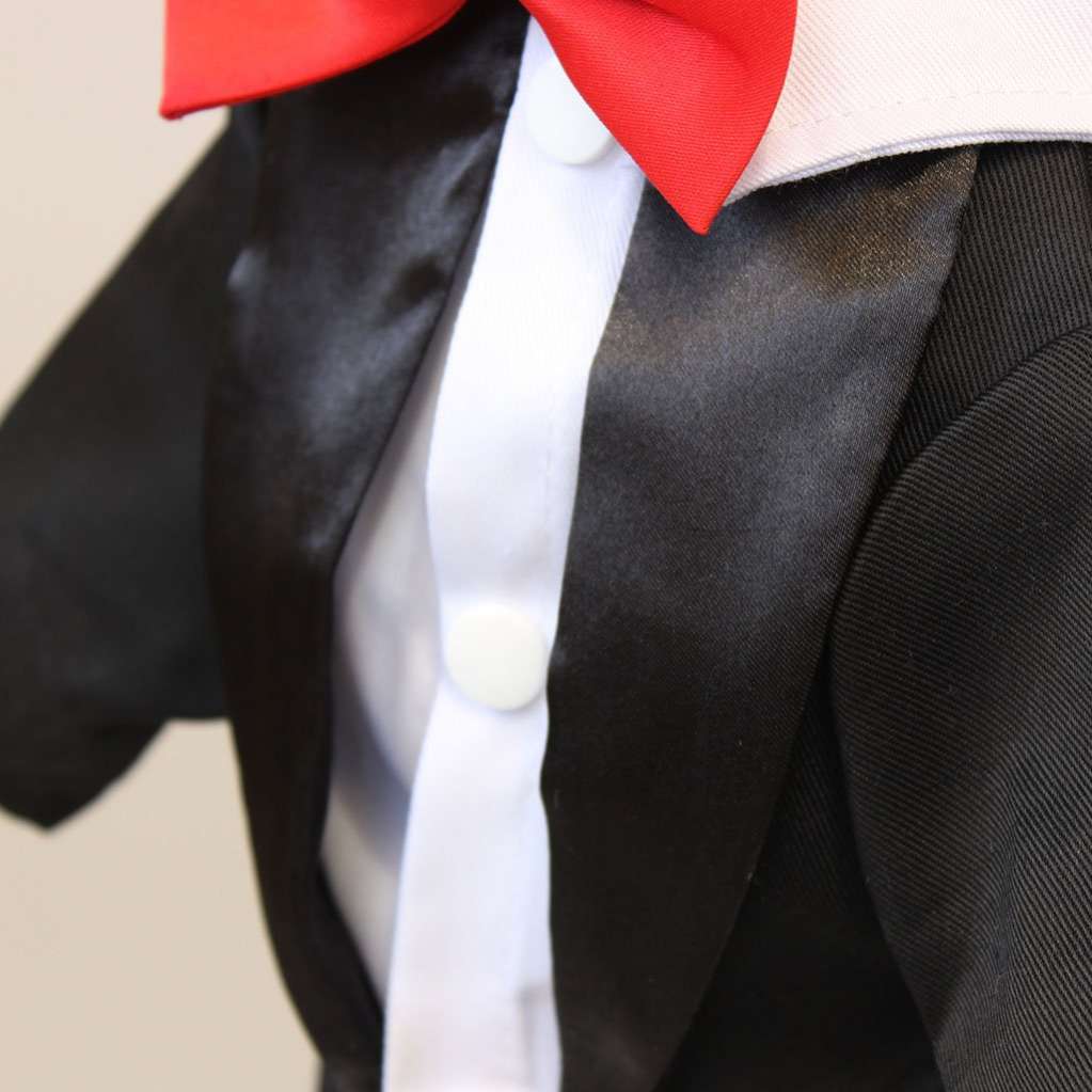 Фрак для собаки с бабочкой Pet Антуан