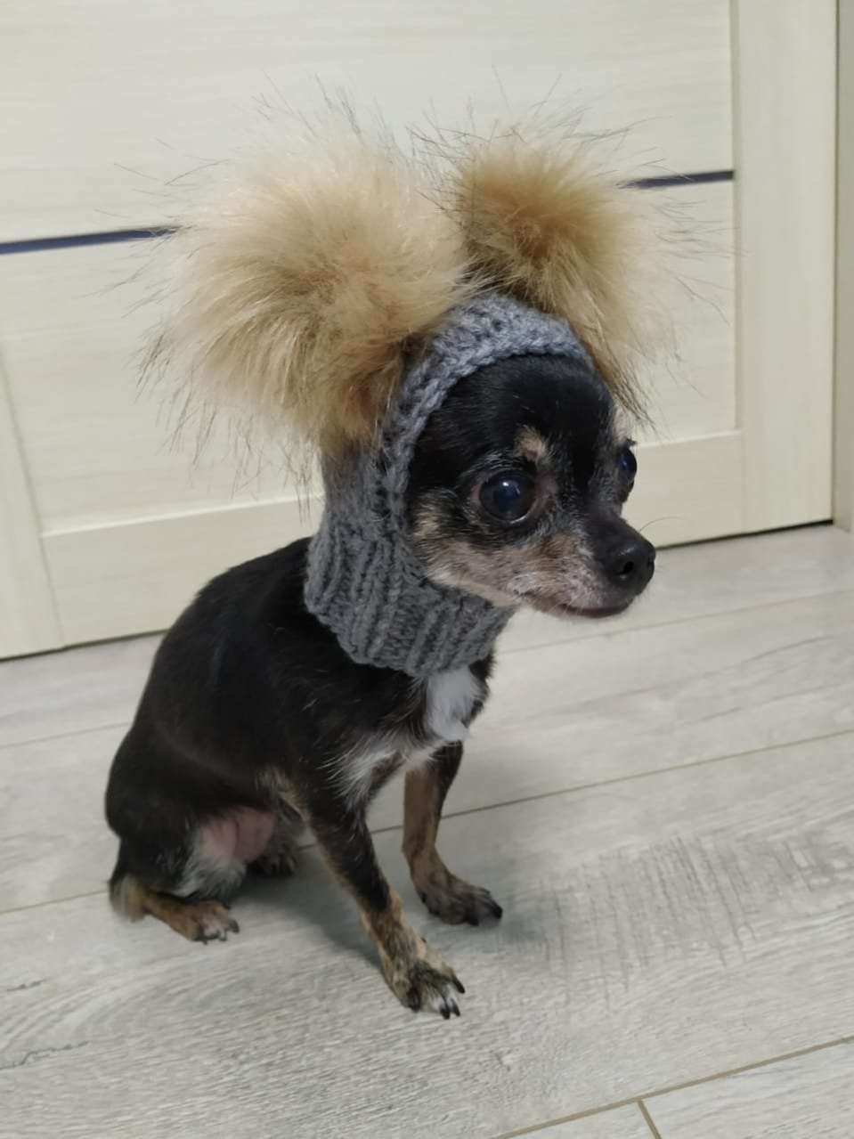 Шапка для собак Капор с закрытыми ушами Puffy Микки