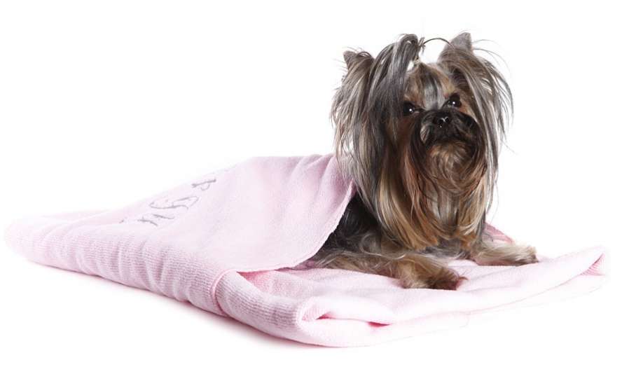 Набор полотенец для собак Premium 2 цвета