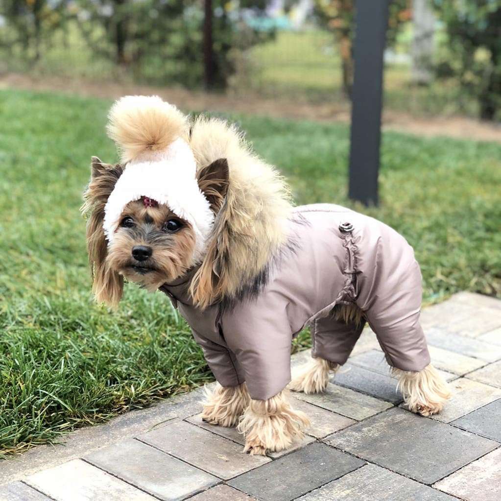 Шапка для собаки Puffy Зимушка