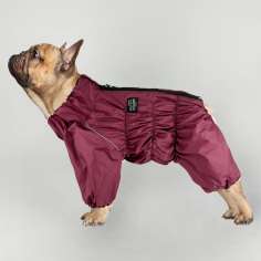 Утепленный дождевик Puffy для мопсов и бульдогов Бордо