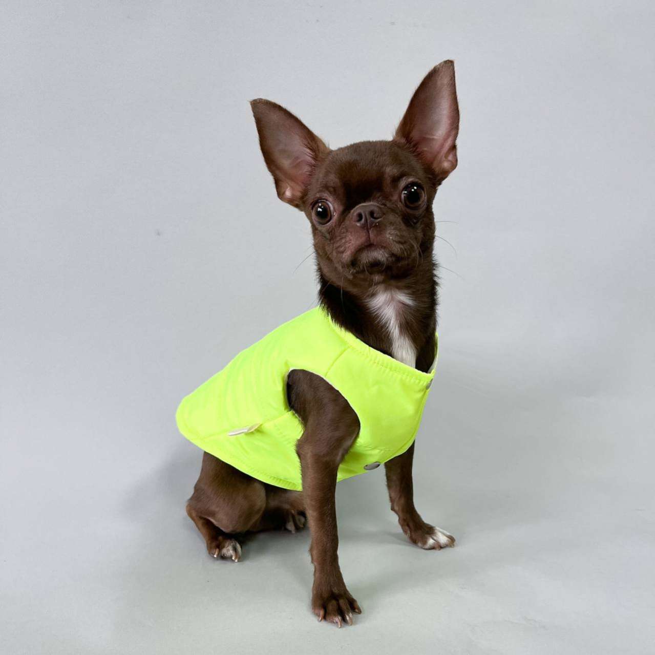 Жилетка для собаки Puffy Лайт Бирюзовый