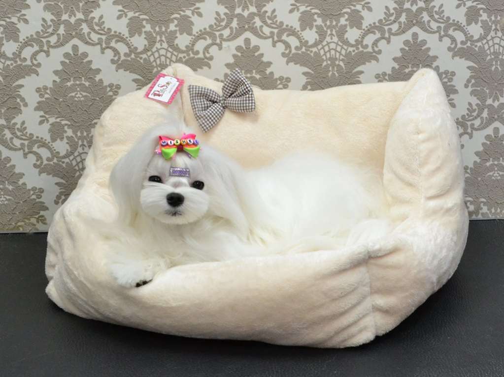 Диван для собаки Puffy молочный