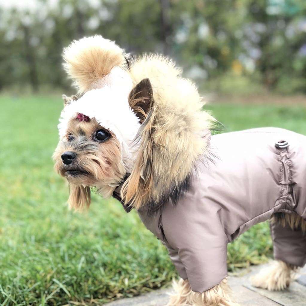 Шапка для собаки Puffy Зимушка