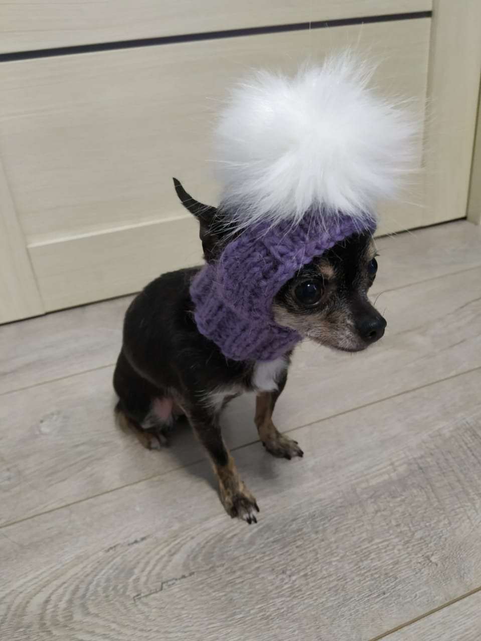 Шапка для собак Капор с открытыми ушами Puffy Snow