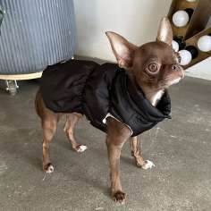 Жилетка для собаки Puffy Флеш Черный