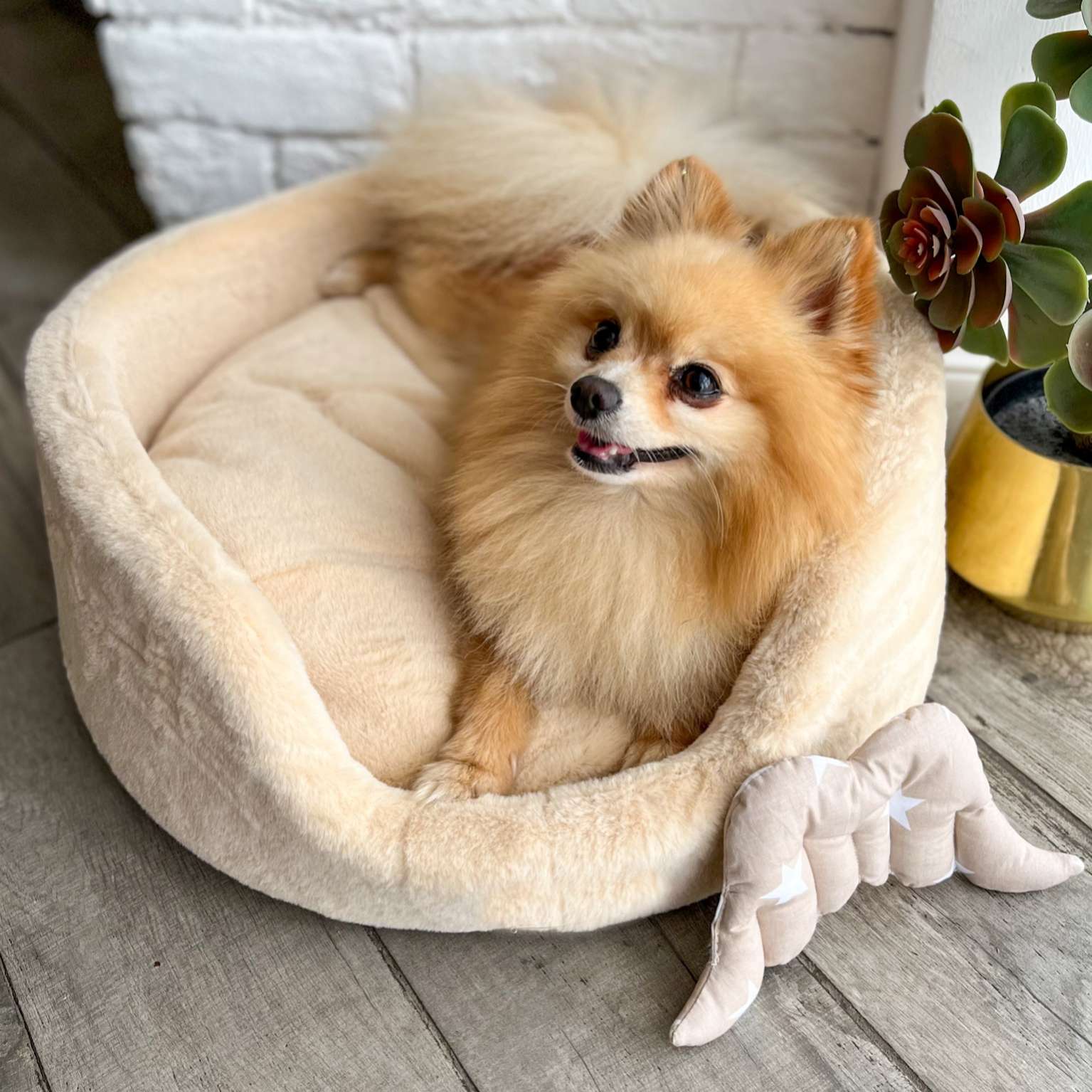 [Лежак] Лежанка для собак Puffy Нуга