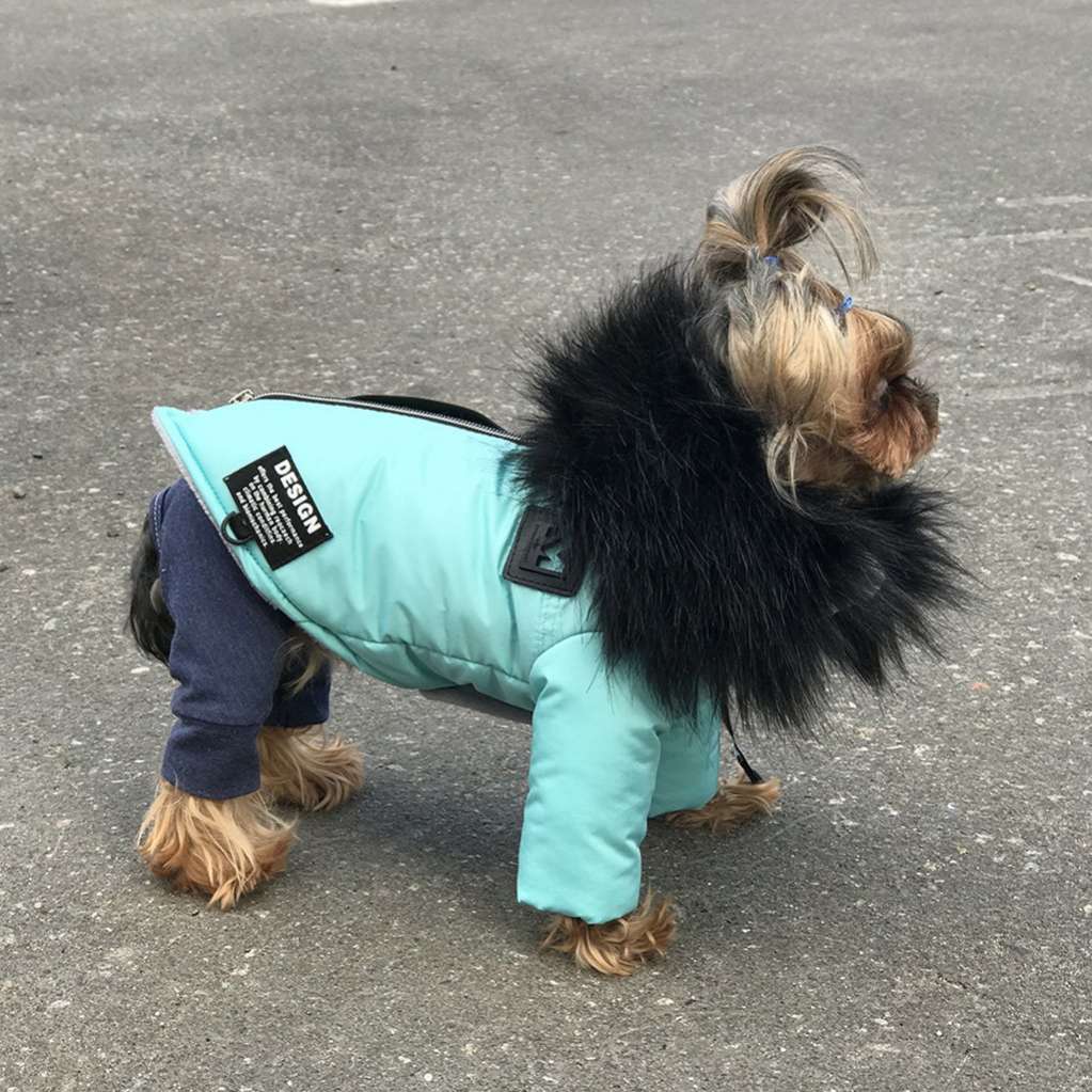 Куртка для собаки Фешн
