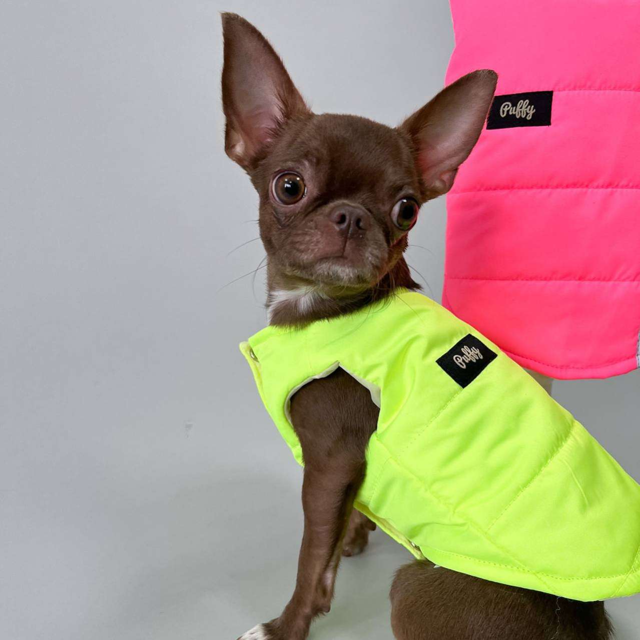 Жилетка для собаки Puffy Лайт Желтый