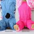 Комбинезон для собак средних и крупных пород ForMyDogs Blue