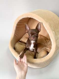 Домик для собаки круглый Puffy Миндаль