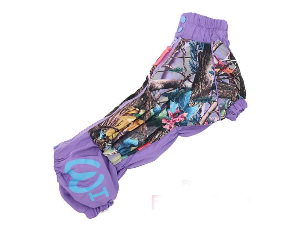 Дождевик для таксы и корги ForMyDogs Яркие краски