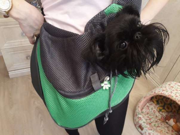 Слинг для собак Pet Радуга