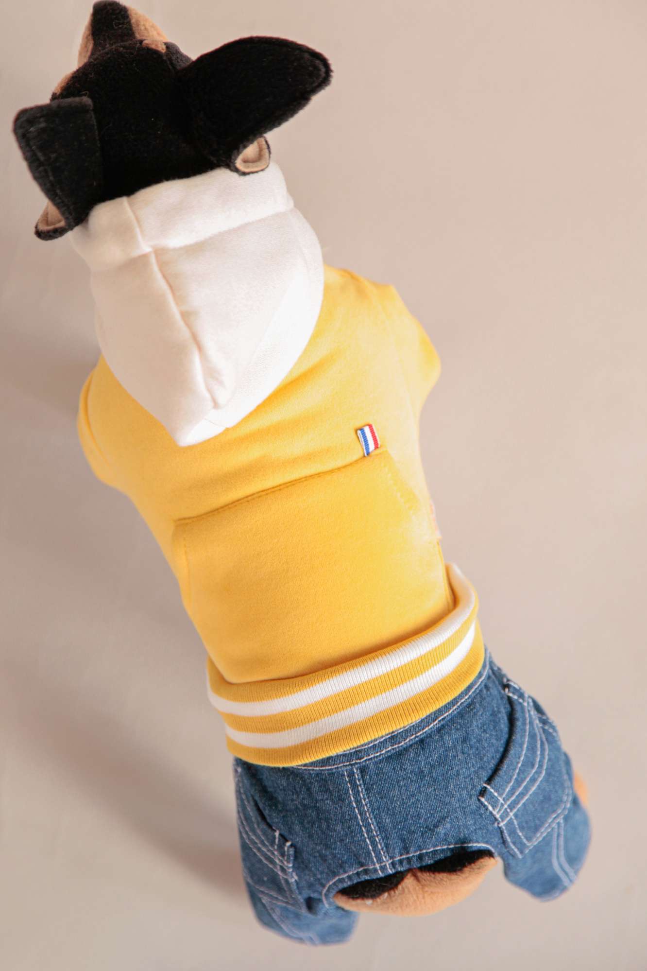 Костюм для собак Pet Джой