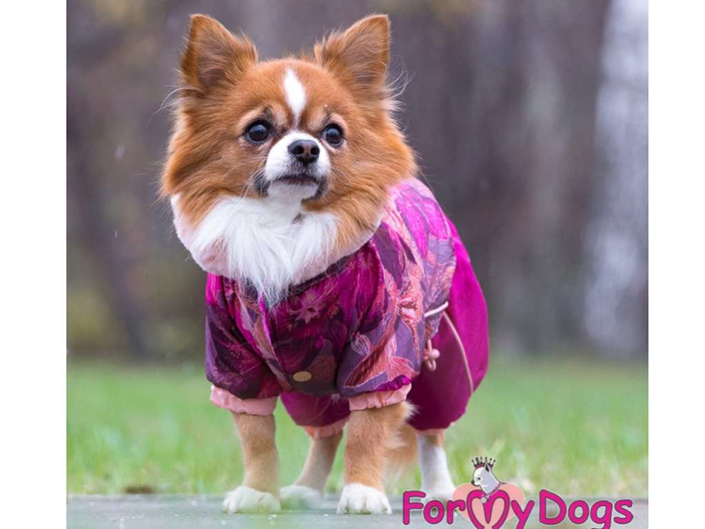 Комбинезон для собак ForMyDogs Лотос